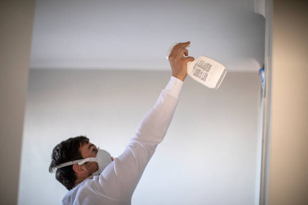 Best Emergency Mold Removal  in Canutillo, TX